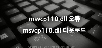 msvcp110.dll이 없어 프로그램을 시작할 수 없습니다