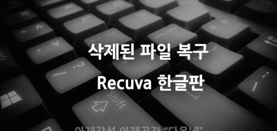 무설치 데이터복구 Recuva v1.53.1087 한글판