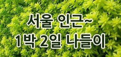 서울 근교 숯불 바베큐 할 만한 팬션 1박2일