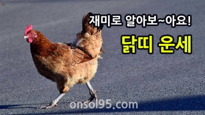 재미로 보는 올해 닭띠 운세