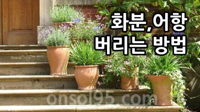 서대문구 화분 버리는 방법 어항버릴때