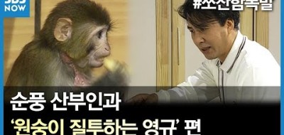 순풍산부인과 박영규 박미선 박미달