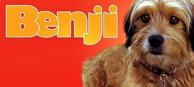 사랑스러운 강아지 밴지 영화 Benji 1974년 영화감상